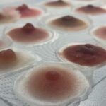 HD Areola 3D protézis- Craft program Budapest egyéni időpont alapján 2 nap - Image 2